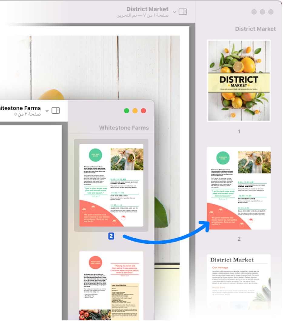صورة مصغرة لصفحة تُسحب من الشريط الجانبي لمستند PDF إلى الشريط الجانبي لمستند آخر.