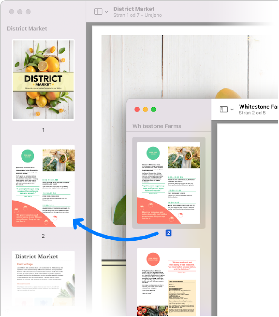 Sličica strani, ki je povlečena iz stranske vrstice enega PDF-ja v stransko vrstico drugega.