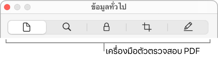 เครื่องมือตัวตรวจสอบ PDF