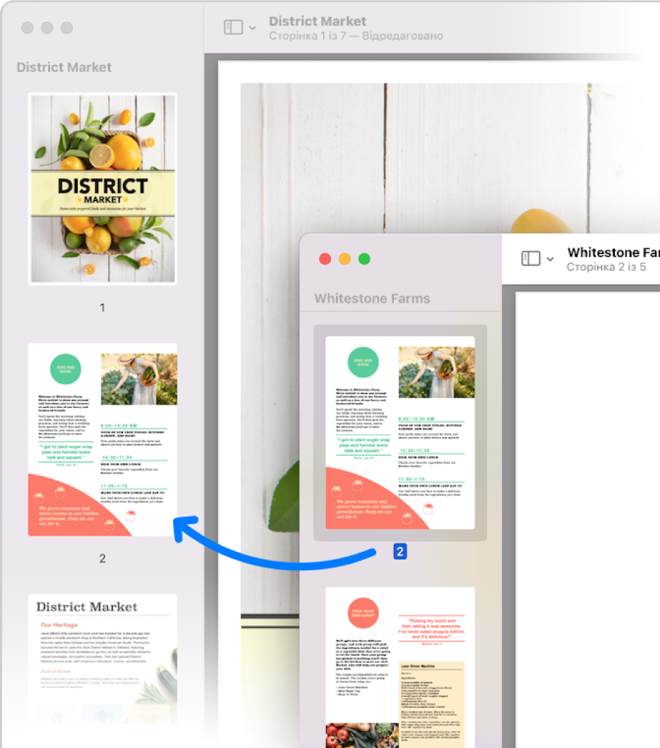 Мініатюра сторінки перетягується з бічної панелі одного документу PDF на бічну панель іншого.
