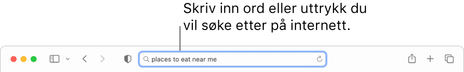 Det smarte søkefeltet i Safari, der du kan skrive inn ord og uttrykk du vil søke etter på internett.