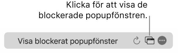 Det smarta sökfältet med en symbol för att visa blockerade popupfönster.