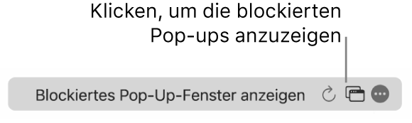 Das intelligente Suchfeld mit einer Taste, um blockierte Pop-up-Fenster anzuzeigen.