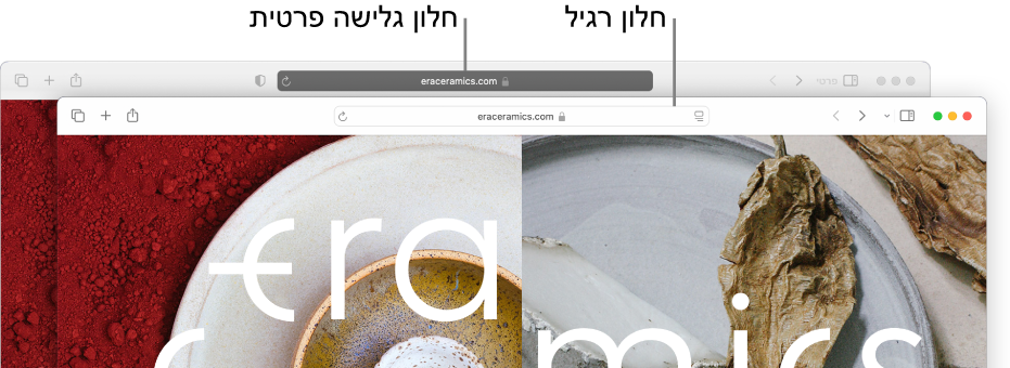 חלון Safari פרטי רגיל עם שדה ״חיפוש חכם״ כהה, וחלון Safari רגיל, עם שדה ״חיפוש חכם״ בהיר.