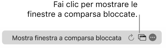 Il campo di ricerca smart con un pulsante per mostrare le finestre a comparsa bloccate.