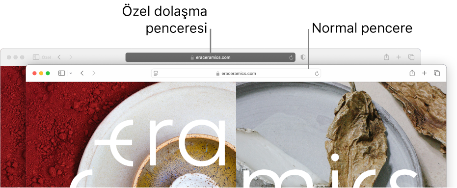Koyu akıllı arama alanıyla özel bir Safari penceresi ve açık bir akıllı arama alanıyla normal bir Safari penceresi.