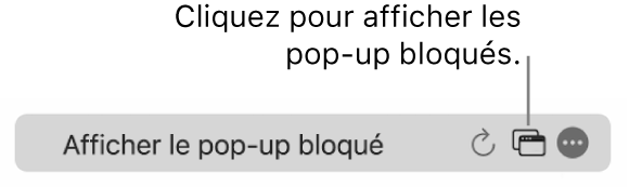 Le champ de recherche intelligente avec un bouton permettant d’afficher les pop-up bloqués.