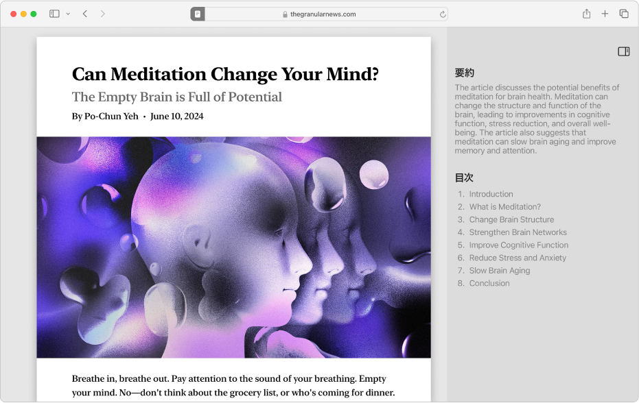 リーダーウインドウ。記事の先頭、目次、および記事の要約が表示されています。