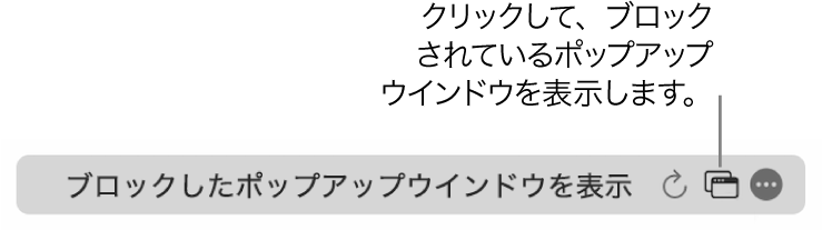 スマート検索フィールド。ブロックされているポップアップウインドウを表示するボタンがあります。