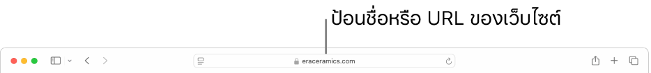 ช่องค้นหาอัจฉริยะของ Safari ที่ซึ่งคุณสามารถป้อนชื่อหรือ URL ของเว็บไซต์ได้