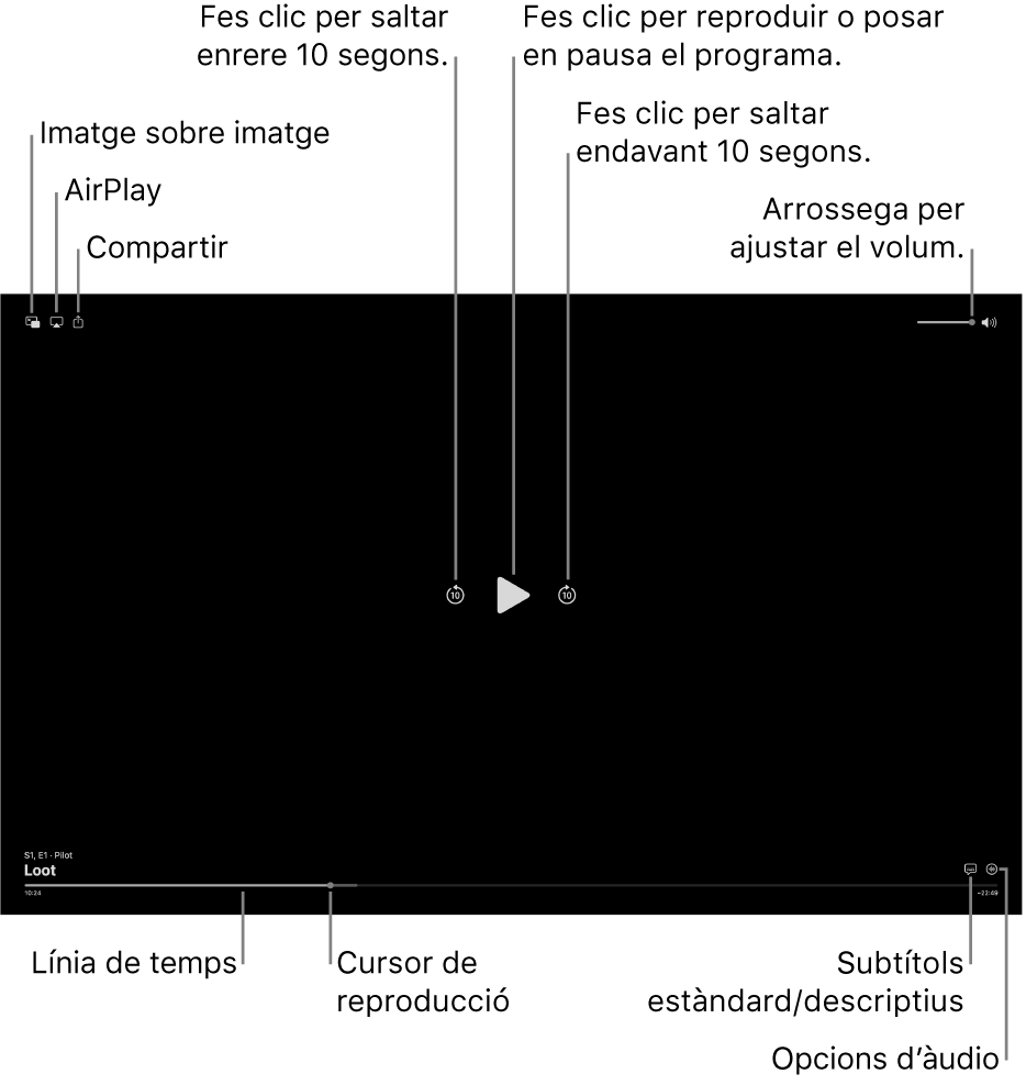 Els controls de reproducció al visor, entre els quals s’inclouen botons per reproduir o posar en pausa, avançar o retrocedir, i ajustar el volum.