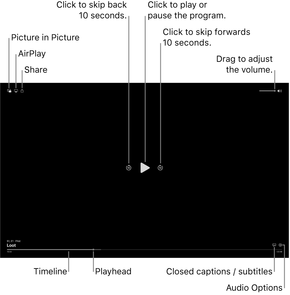 Playback controls in the viewer, including buttons to play or pause, skip forwards or backwards, and adjust volume.