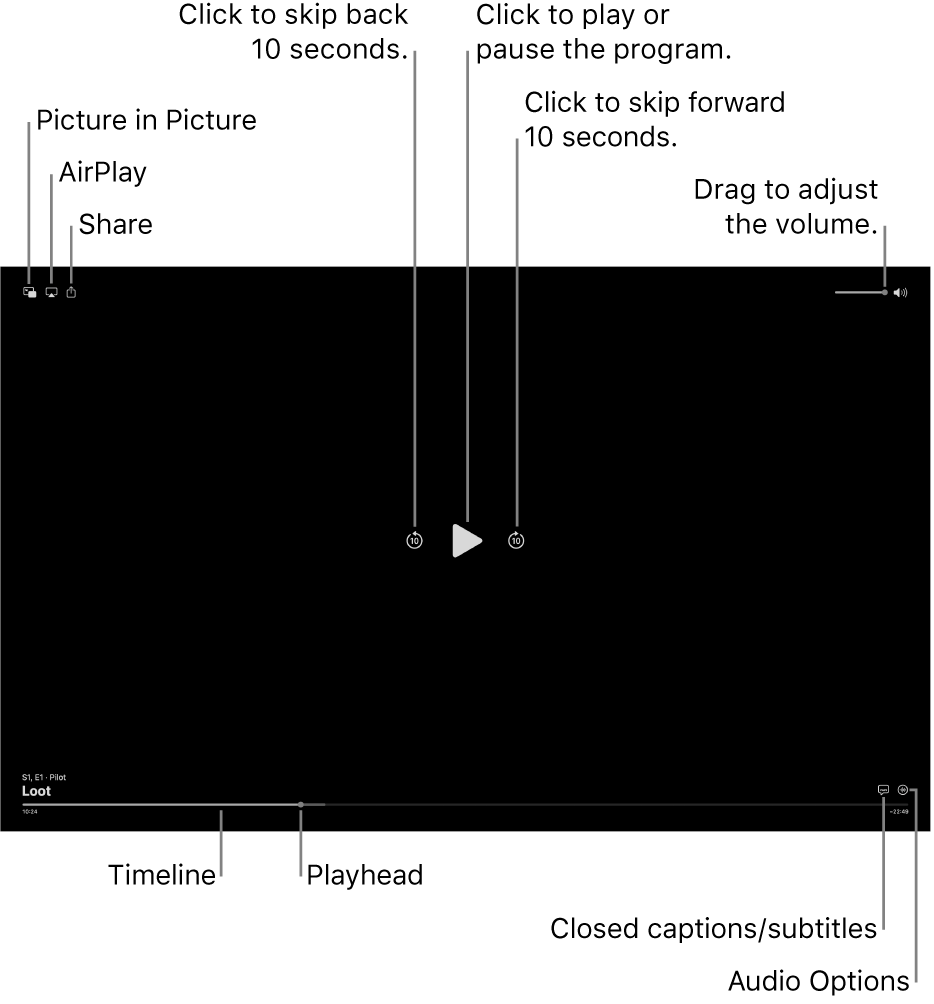 Playback controls in the viewer, including buttons to play or pause, skip forward or backward, and adjust volume.