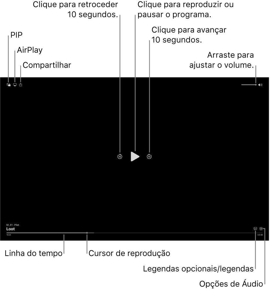 Controles de reprodução no visualizador, incluindo botões para reproduzir ou pausar, avançar ou retroceder e ajustar o volume.