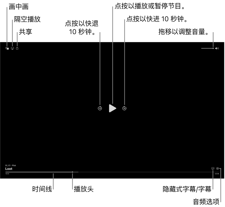 查看器中的播放控制包括用于播放或暂停、快进或快退和调整音量的按钮。