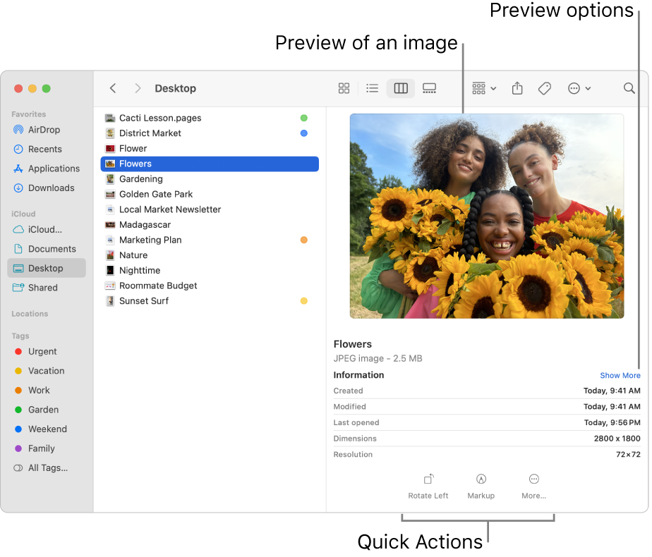 A Finder window showing the Finder sidebar on the left and an image file selected in the middle of the window. On the right, the Preview pane shows what the image looks like, with the image details below that, and the Quick Actions buttons at the bottom.