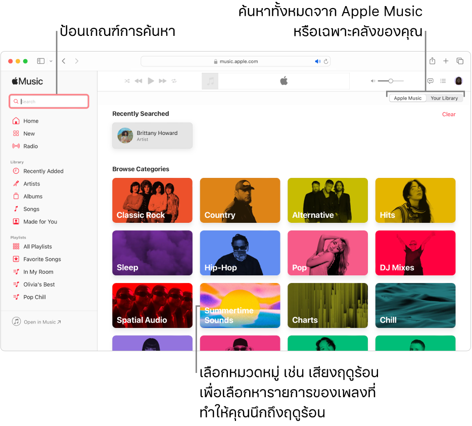หน้าต่าง Apple Music ที่แสดงช่องค้นหาที่มุมซ้ายบนสุด รายการหมวดหมู่ที่กึ่งกลางของหน้าต่าง และ Apple Music หรือคลังของคุณที่มุมขวาบนสุด ป้อนเกณฑ์การค้นหาในช่องค้นหา จากนั้นเลือกว่าจะให้ค้นหาทั้งหมดใน Apple Music หรือเฉพาะคลังของคุณ หรือเลือกหมวดหมู่ เช่น Summertime Sounds เพื่อเลือกหารายการของเพลงที่ทำให้คุณนึกถึงฤดูร้อน