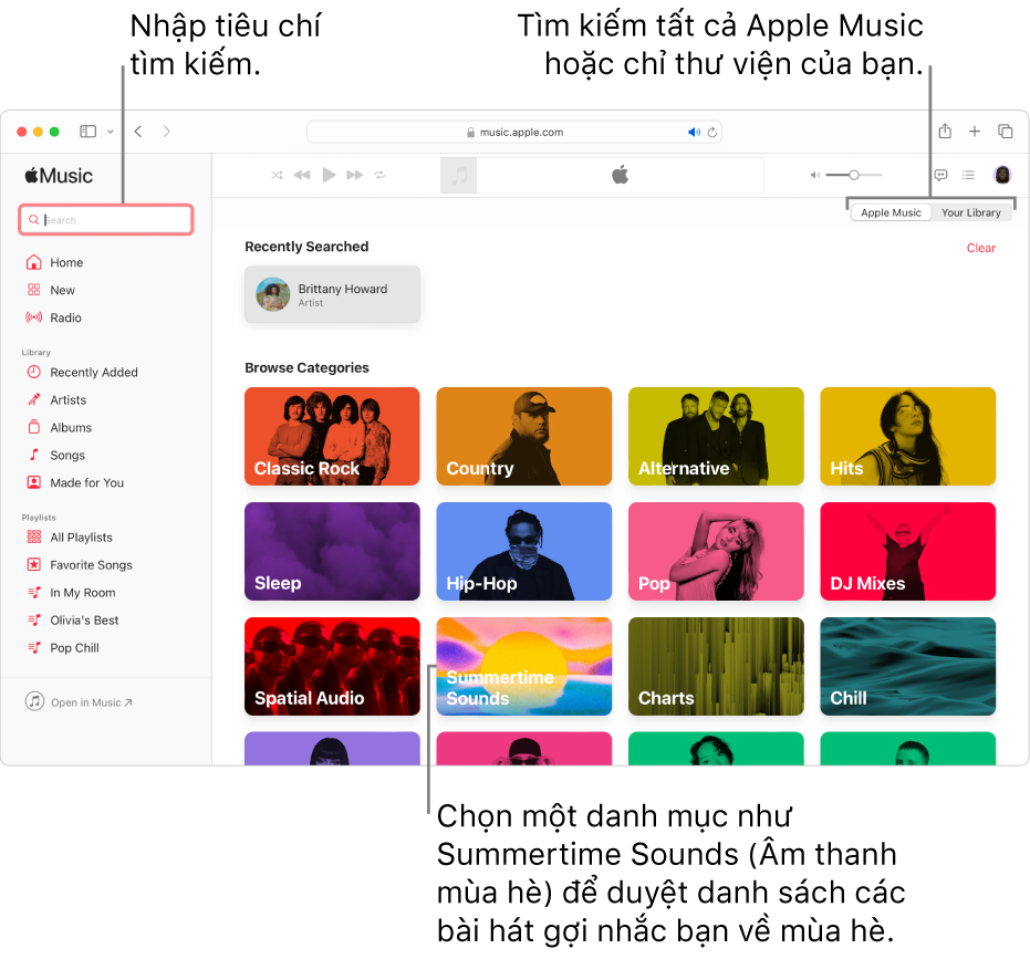 Cửa sổ Apple Music đang hiển thị trường tìm kiếm ở góc trên cùng bên trái, danh sách các danh mục ở giữa cửa sổ và Apple Music hoặc Thư viện của bạn có sẵn ở góc trên cùng bên phải. Nhập tiêu chí tìm kiếm vào trường tìm kiếm, sau đó chọn tìm kiếm tất cả Apple Music hoặc chỉ thư viện của bạn. Tùy ý lựa chọn một danh mục, ví dụ như Giai Điệu Vào Hạ, để duyệt một danh sách các bài hát nhắc nhở bạn về mùa hè.