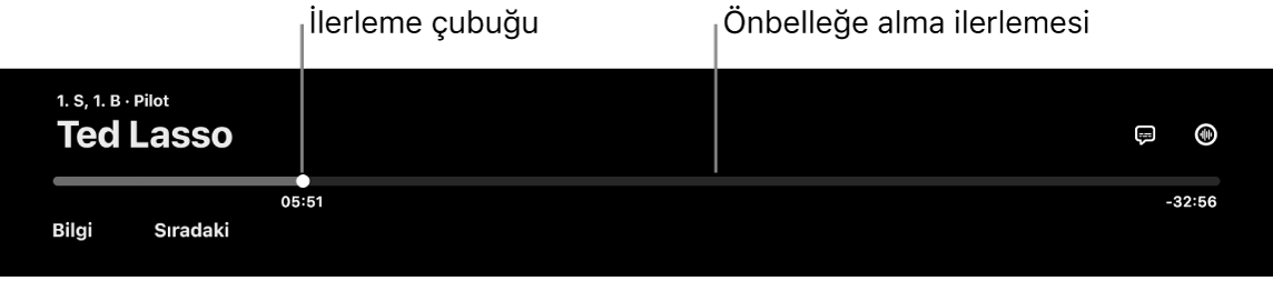 Oynatma denetimleri