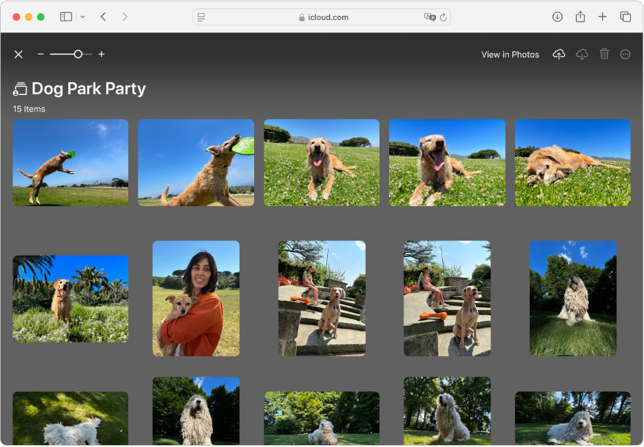 A shared album in Apple Invites on iCloud.com showing photos of dogs.