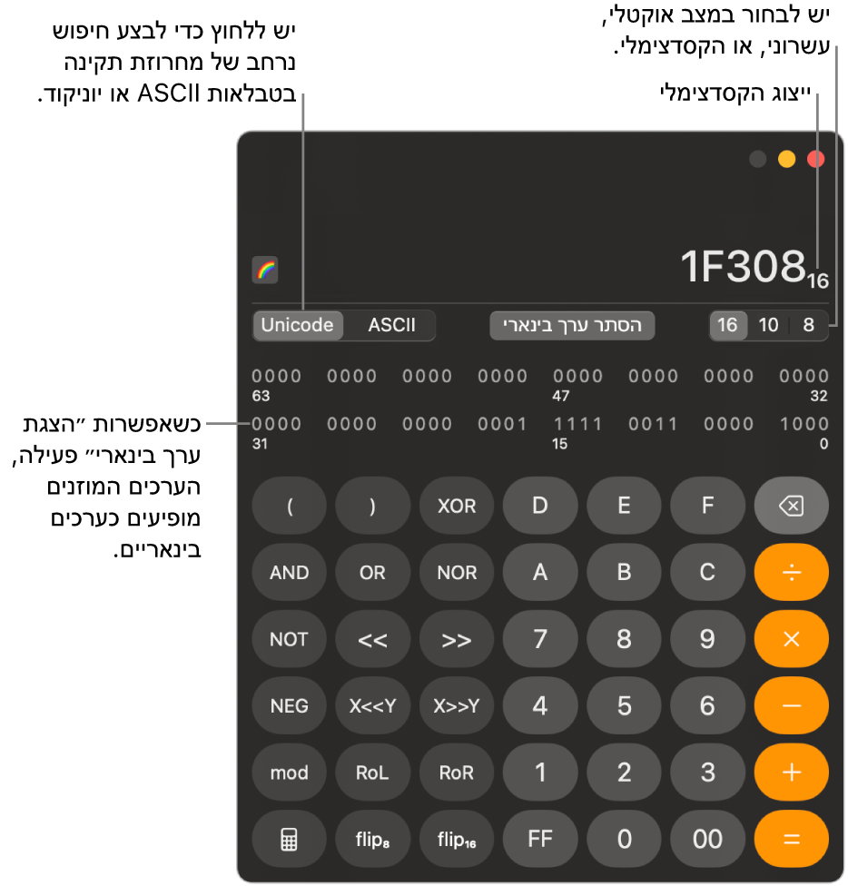 מחשבון במצב ״מתכנת״.