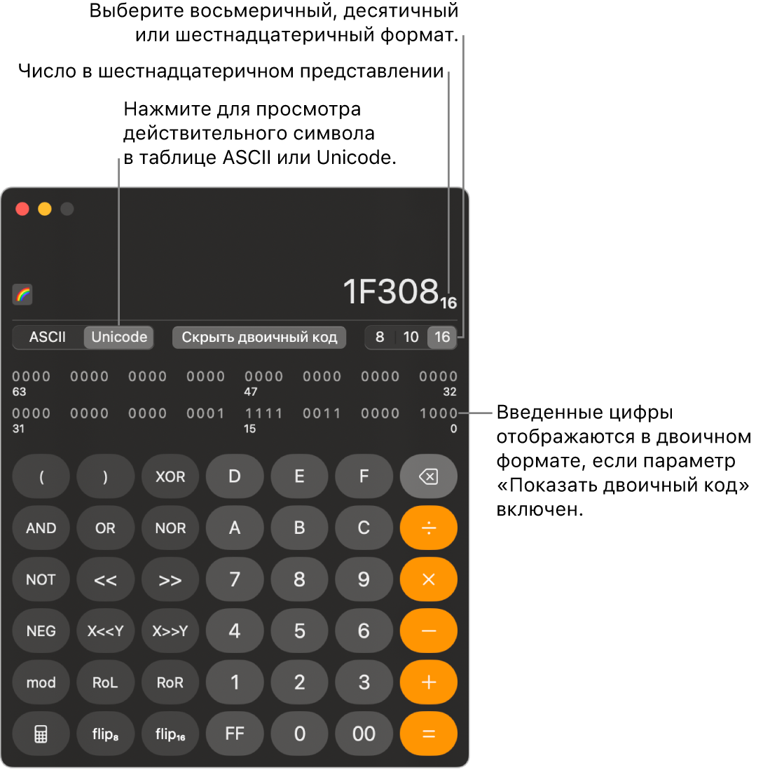 Показан калькулятор в режиме для программиста.