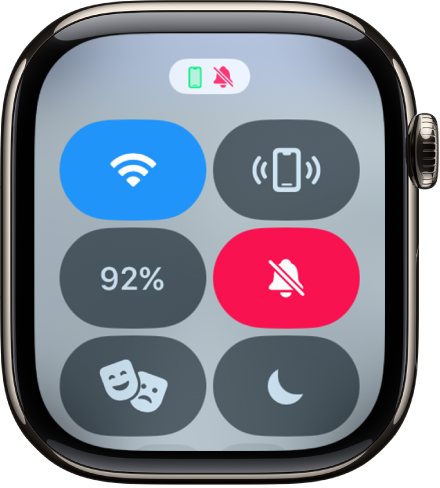 Silence alerts and notifications on Apple Watch Apple Support UK