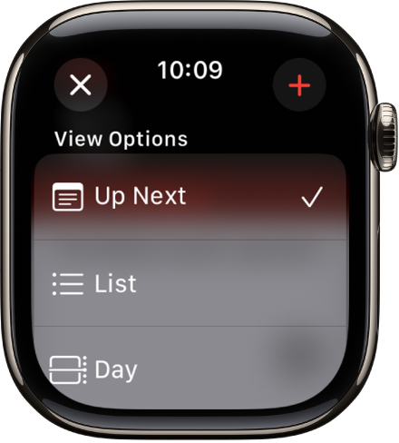 Calendar on apple watch sale