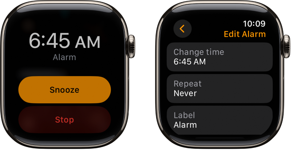 Add an alarm on Apple Watch Apple Support