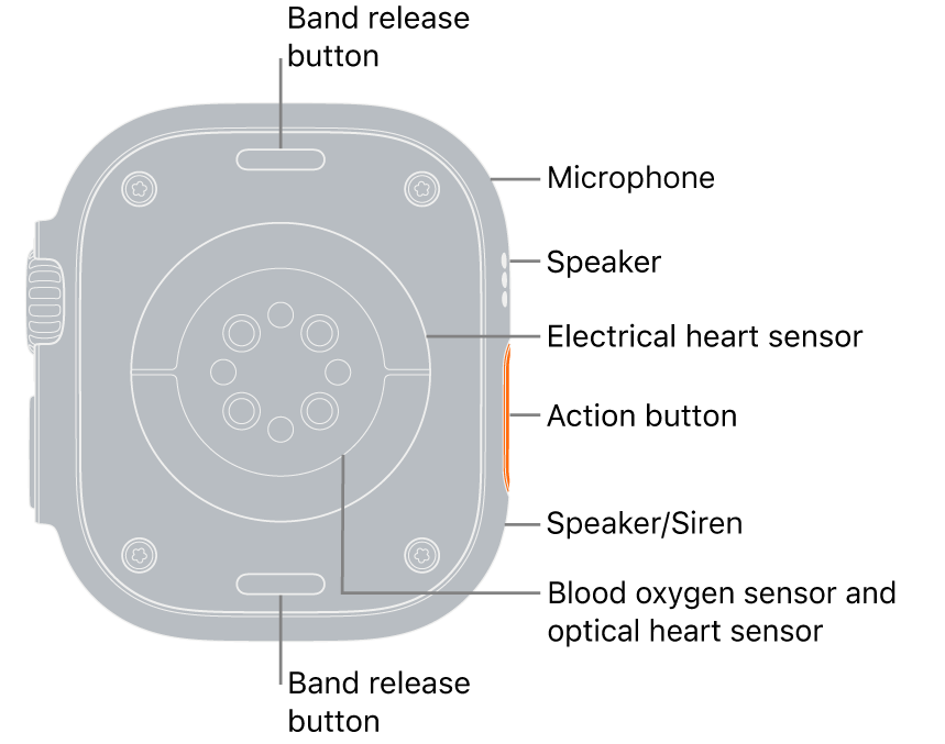 The back of Apple Watch Ultra, with the band release buttons at top and bottom. On the side, callouts point to a microphone, a speaker, the electrical heart sensor, the Action button, a speaker port from which the siren emits, blood oxygen sensors, and optical heart sensors.