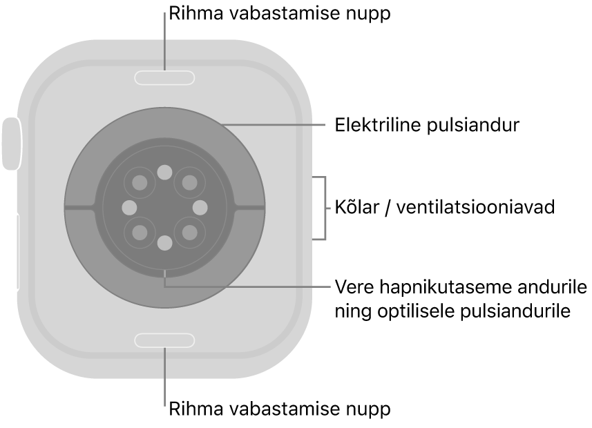 Apple Watch Series 10 tagakülg, kus üleval ja all on rihma vabastusnupud, elektrilised südamepulsiandurid, optilised südamepulsiandurid ja keskel vere hapnikusisalduse andur ning kõlar/ventilatsiooniavad küljel.