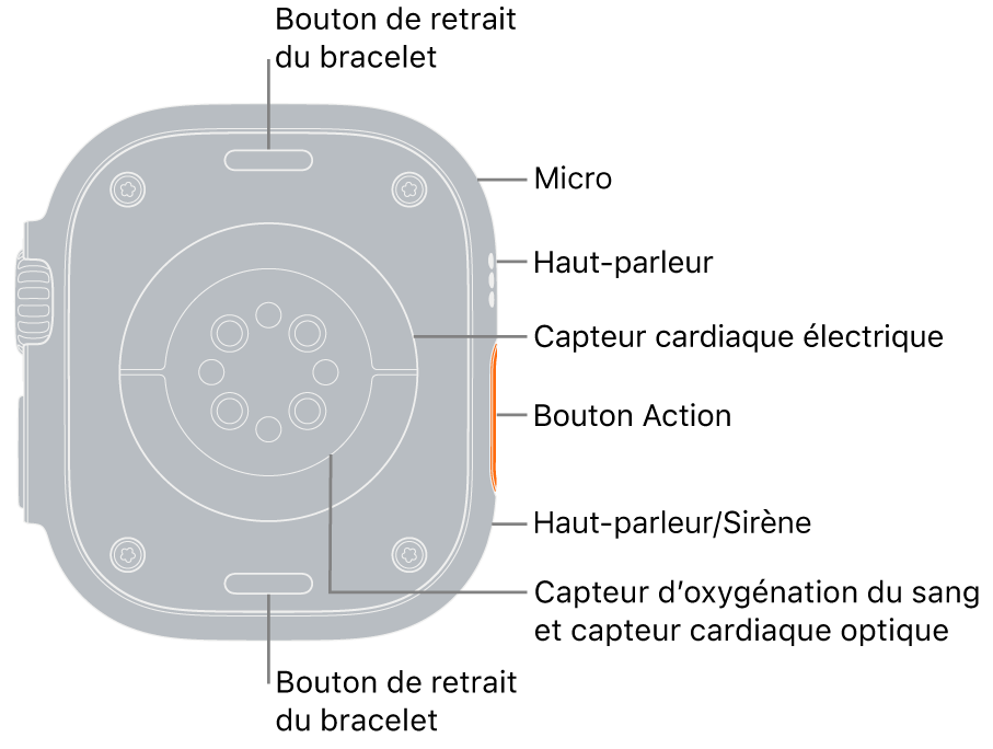 L’arrière de l’Apple Watch Ultra, avec les boutons de retrait du bracelet en haut et en bas. Sur le côté, des légendes indiquent un micro, un haut-parleur, le capteur électrique de fréquence cardiaque, le bouton Action, un port de haut-parleur qui émet la sirène, les capteurs d’oxygène sanguin et les capteurs optiques de fréquence cardiaque.