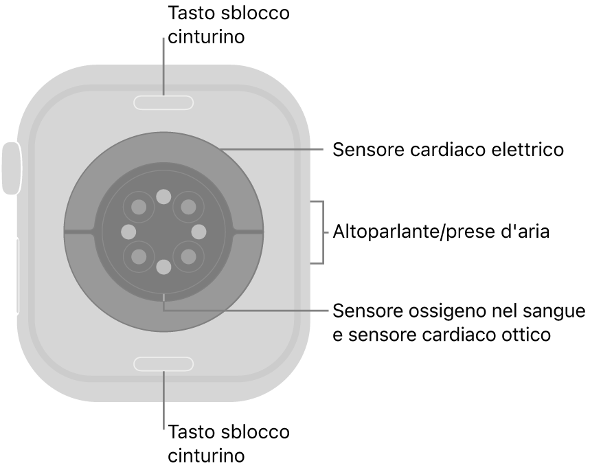 Apple Watch Series 10, visto da dietro, con i pulsanti di sblocco del cinturino in alto e in basso, i sensori elettrici per il cuore, i sensori ottici per il cuore e i sensori per il livello di ossigeno nel sangue al centro, e l’altoparlante e i condotti di ventilazione sul lato.