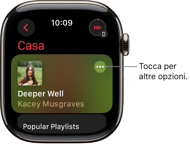 L’app Musica con la schermata Home e un album. In alto a destra è presente il pulsante “Altre opzioni”. In alto a destra è presente il pulsante “In riproduzione”. In alto a sinistra è visibile il pulsante Indietro.