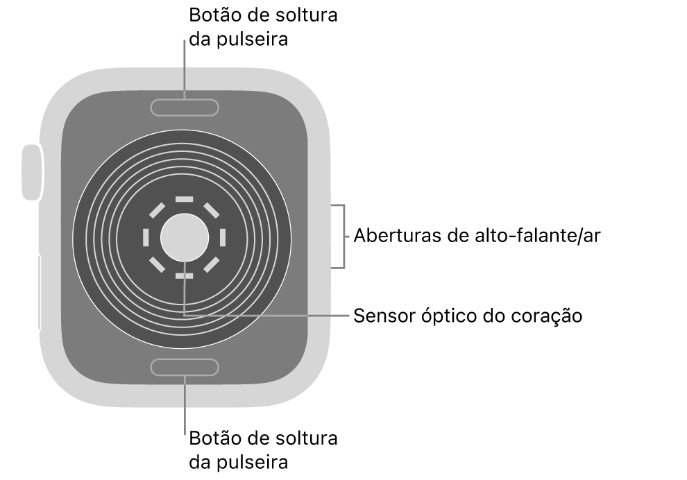 A parte traseira do Apple Watch SE, com os botões para soltar a pulseira na parte superior e inferior, o sensor óptico cardíaco no meio e alto-falante/saídas de ar na lateral.