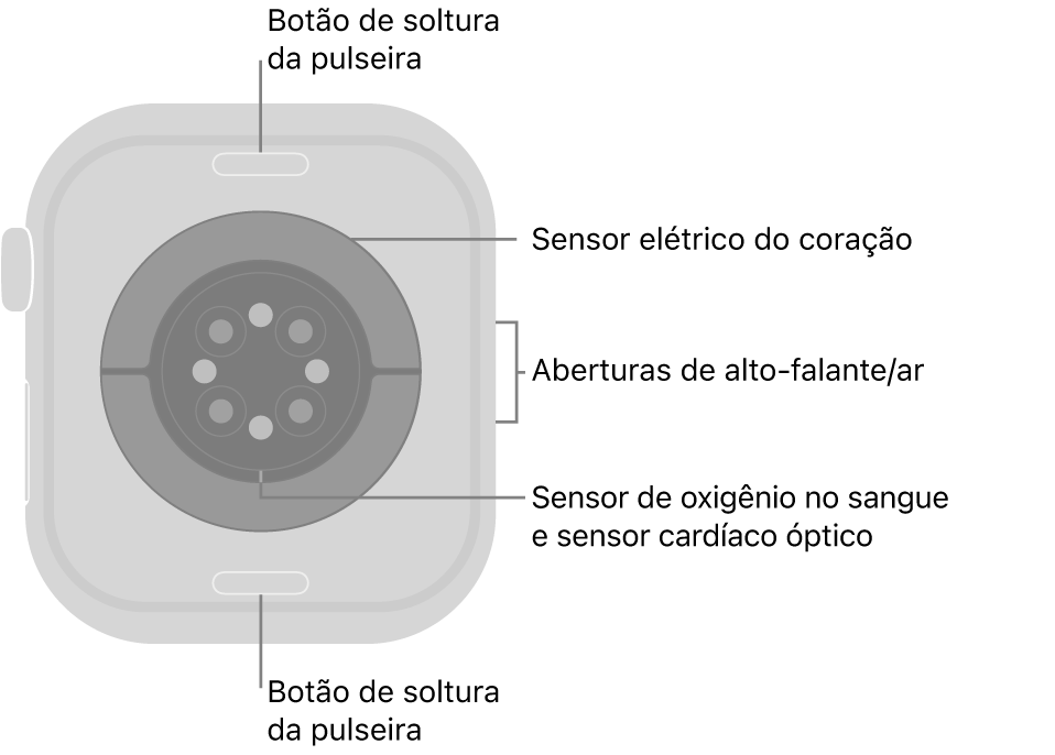 A parte traseira do Apple Watch Series 10, com os botões para soltar a pulseira na parte superior e inferior, os sensores elétricos cardíacos, ópticos cardíacos e de oxigênio no sangue no meio, e o alto-falante e as saídas de ar na lateral.