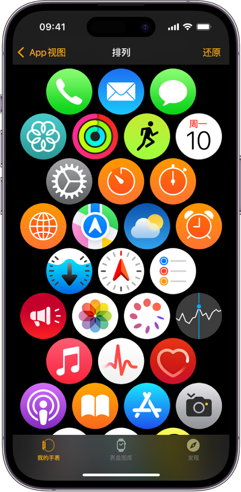 Apple Watch App 中的“排列”屏幕，按网格显示图标。