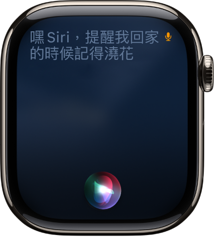 Siri 畫面顯示設定提醒事項的要求。