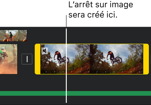 Plan vidéo de la timeline dont chaque extrémité est munie de poignées de plage jaunes. La tête de lecture est placée là où l’arrêt sur image sera ajouté.