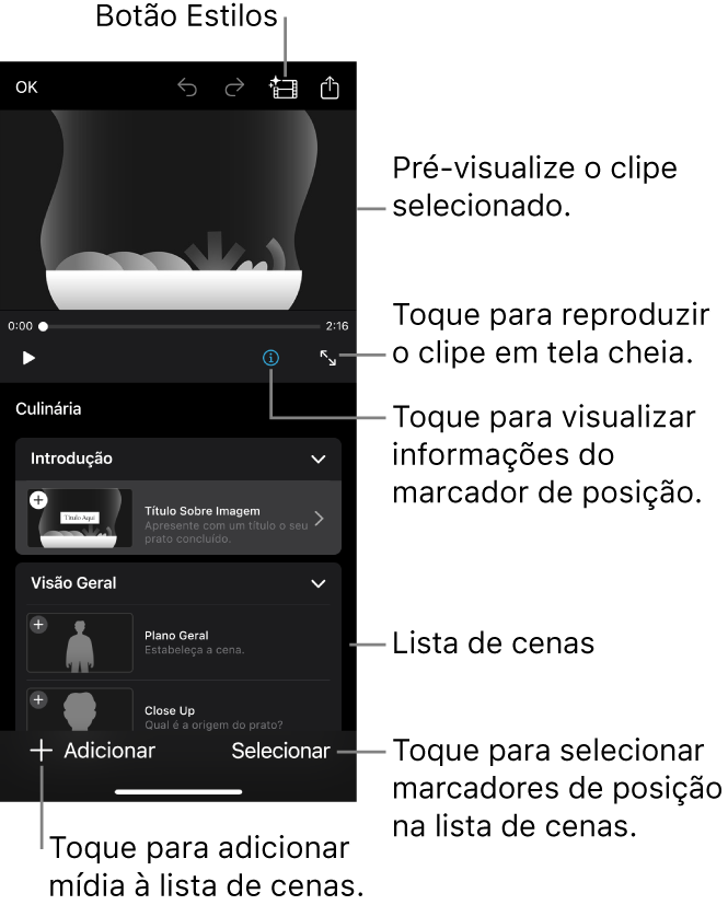 Um projeto de storyboard aberto, com o clipe marcador de posição selecionado exibido no visualizador e a lista de cenas abaixo.