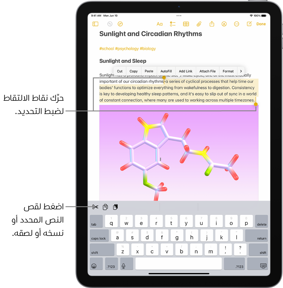 نص محدد في ملاحظة في تطبيق الملاحظات. تظهر فوق النص المحدد قائمة أزرار من ضمنها قص ونسخ ولصق. النص المحدد مميز، مع نقاط الالتقاط لضبط التحديد على كلا الطرفين.