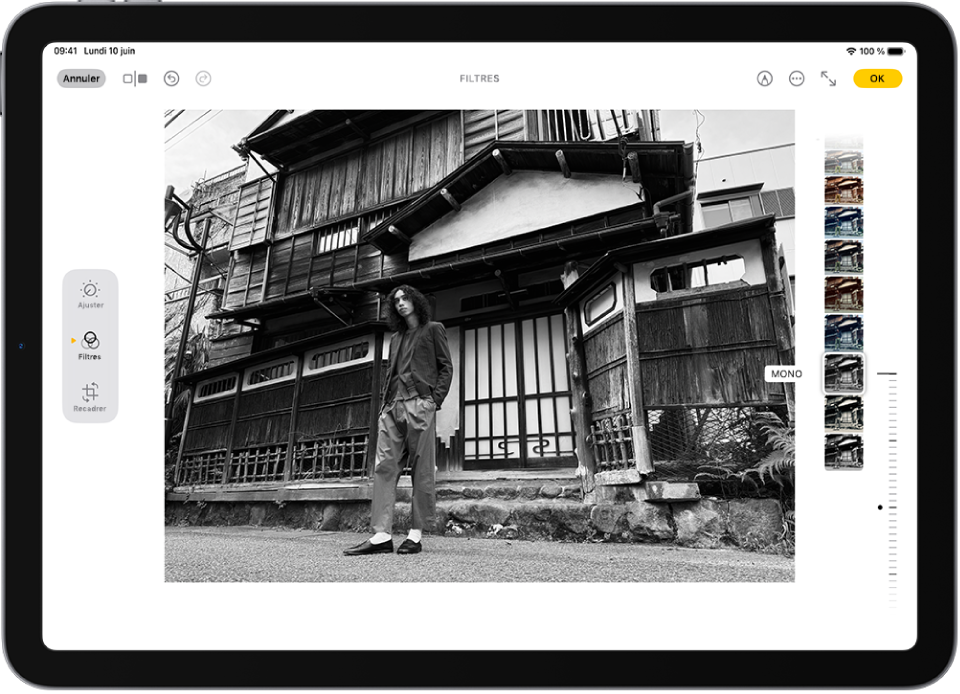L’écran Modifier dans l’app Photos avec une photo au centre. Sur le côté gauche de l’écran se trouvent les boutons Ajuster, Filtres et Recadrer ; le bouton Filtres est sélectionné. Sur le côté droit de l’écran se trouvent les options de filtres et un curseur permettant d’ajuster le niveau de l’effet de filtre.