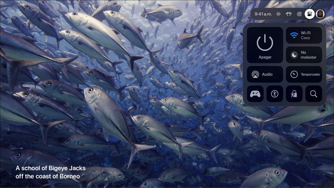 Pantalla del Apple TV mostrando el centro de control.