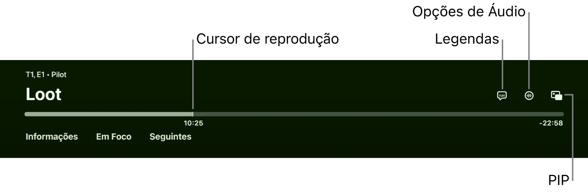 Controles de reprodução