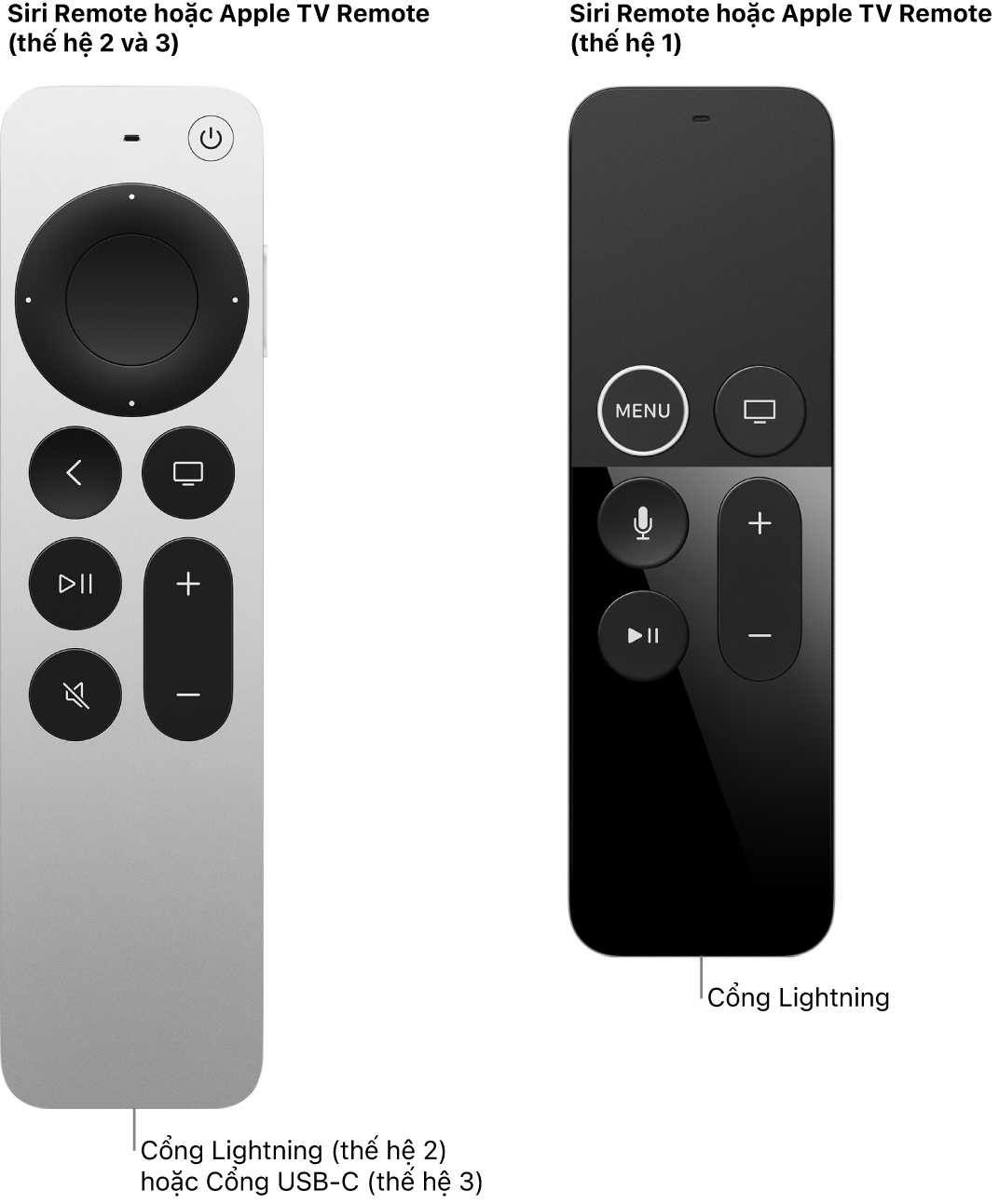 Hình ảnh của Siri/Apple TV Remote (thế hệ 2) và Siri/Apple TV Remote (thế hệ 1) đang hiển thị cổng đang sạc