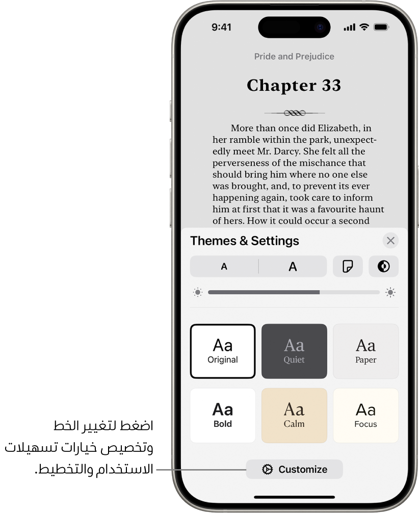 صفحة من كتاب في تطبيق الكتب. خيارات السمات والإعدادات تعرض عناصر التحكم في حجم الخط وطريقة عرض التمرير ونمط قلب الصفحة والسطوع وأنماط الخط.