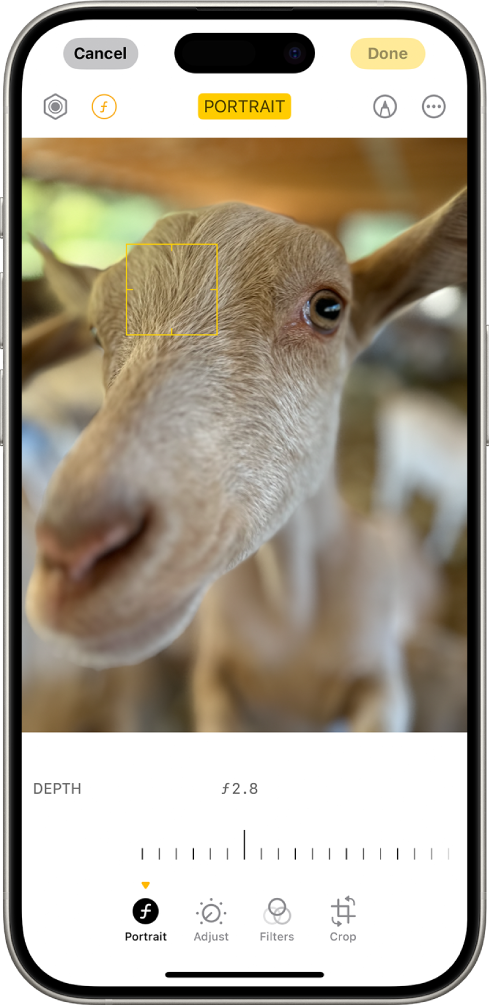 Pantalla d’edició d’un retrat a l’app Fotos. Hi ha un retrat al centre de la pantalla i, a sota de la foto, hi ha un regulador per ajustar la configuració d’“Ajustament de la profunditat”. A sota del regulador, d’esquerra a dreta, hi ha els botons “Retrat”, “Ajustar”, “Filtres” i “Escapçar”. El botó “Retrat” està seleccionat.