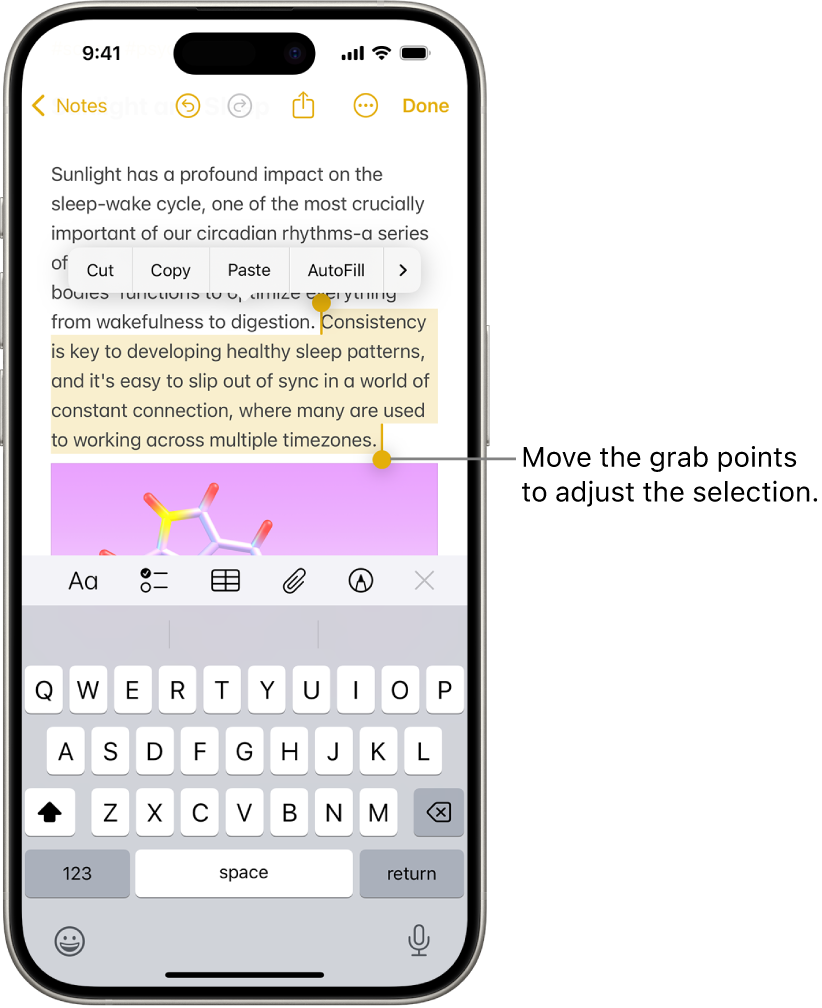 Select, cut, copy, and paste text on iPhone - Apple Support