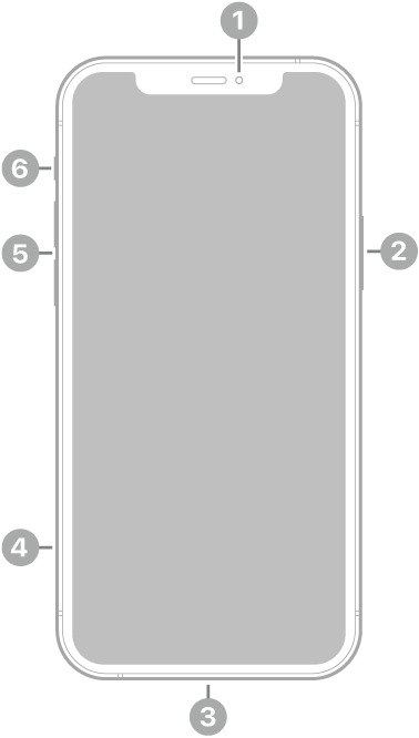 iPhone 12 Pro edestä. Etukamera on ylhäällä keskellä. Sivupainike on oikealla puolella. Lightning-liitäntä on pohjassa. Vasemmalla puolella alhaalta ylöspäin ovat seuraavat: SIM-alusta, äänenvoimakkuuspainikkeet ja soitto-/äänetön-kytkin.