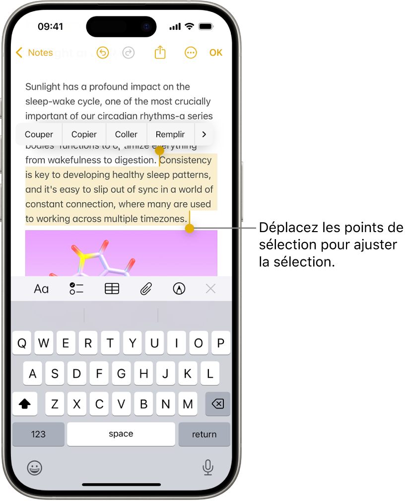 Le texte est sélectionné dans une note dans l’app Notes. Au-dessus de la sélection se trouvent les boutons Couper, Copier, Coller et Remplissage automatique. Le texte sélectionné est surligné, avec des points de poignée permettant d’ajuster la sélection à chaque extrémité.